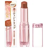 CEZANNE Lasting Gloss Lip N, 101 Fig Mocha, 3.2 г, 1