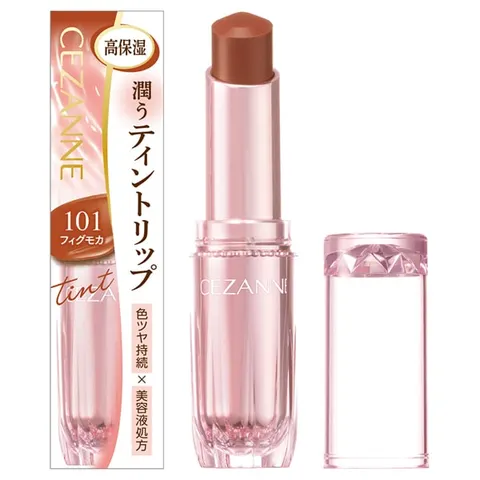 CEZANNE Lasting Gloss Lip N, 101 Fig Mocha, 3.2 g