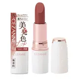 CEZANNE Стойкая губная помада, 02 Warm Brown, 4.0 г, 1