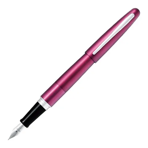Pilot Cocoon, перьевая ручка, перо F, бордовая